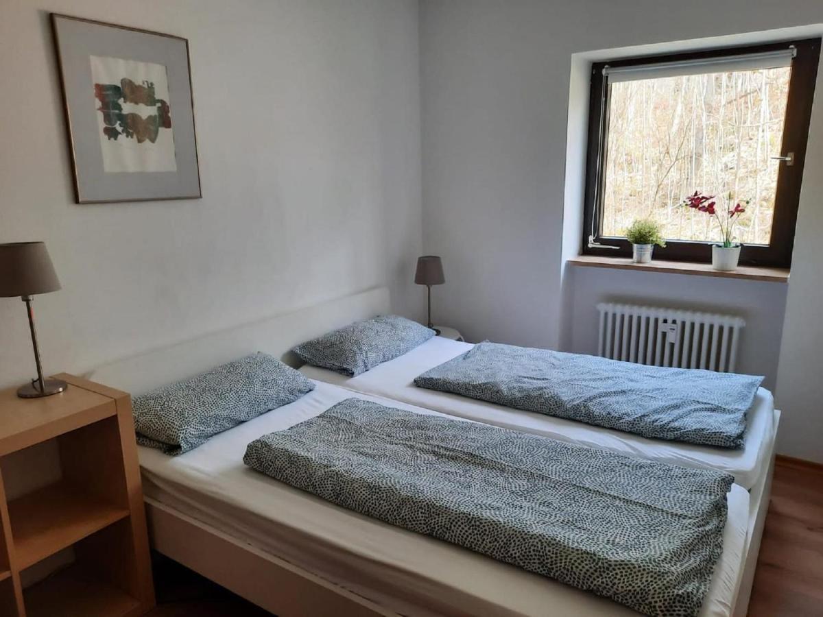 Ferienwohnungen Ute Am Geyersberg Фрайунг Екстериор снимка